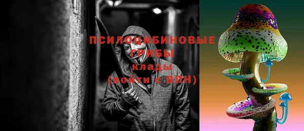 тгк Ивангород