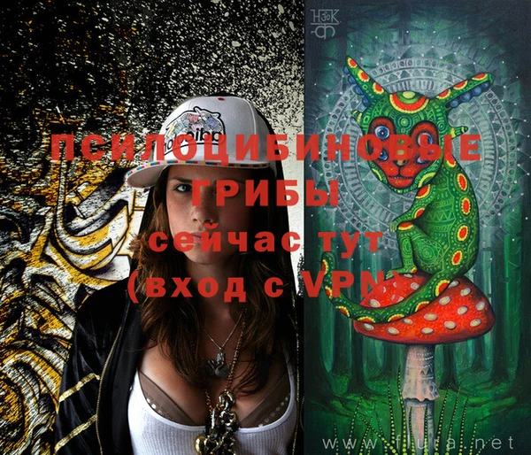 тгк Ивангород