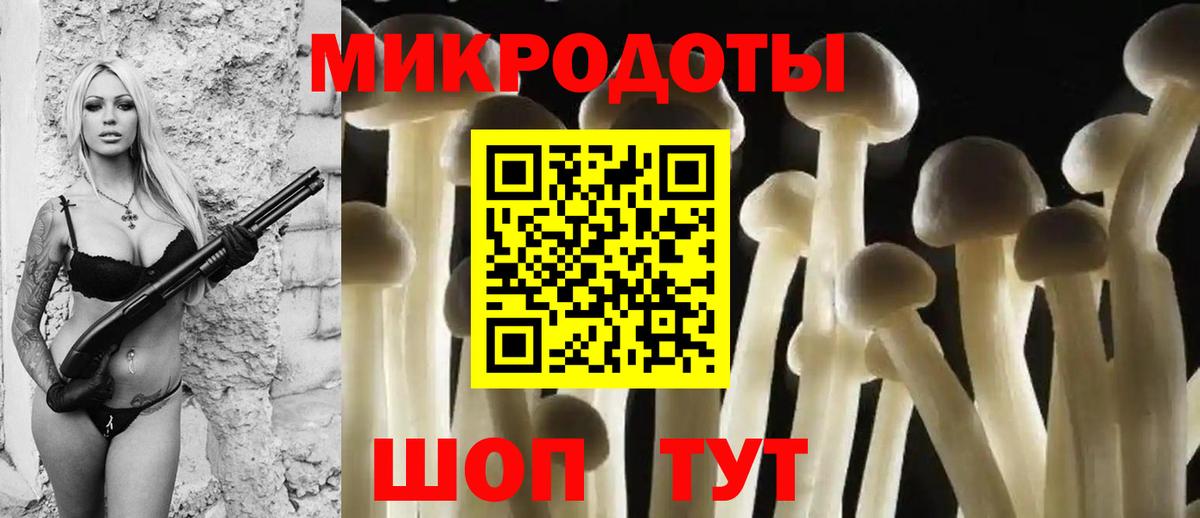 Псилоцибиновые грибы мухоморы Касимов
