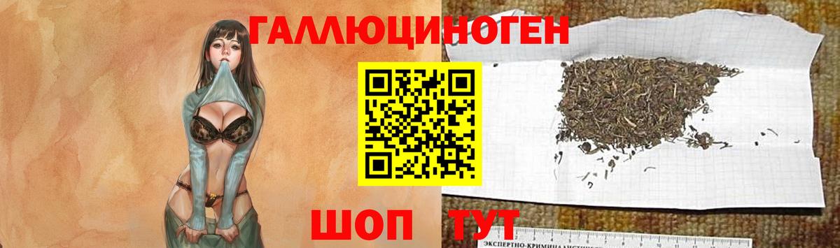 Галлюциногенные грибы MAGIC MUSHROOMS  Вход с VPN  Галлюциногенные грибы GOLDEN TEACHER  Касимов 